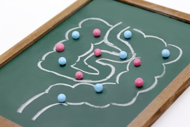 腸内環境検査の販売・導入をするなら「MYDENSI」がおすすめ！腸活をアップデートしましょう！